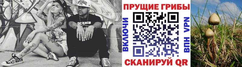 OMG как войти  где найти наркотики  Новороссийск  Псилоцибиновые грибы Magic Shrooms 